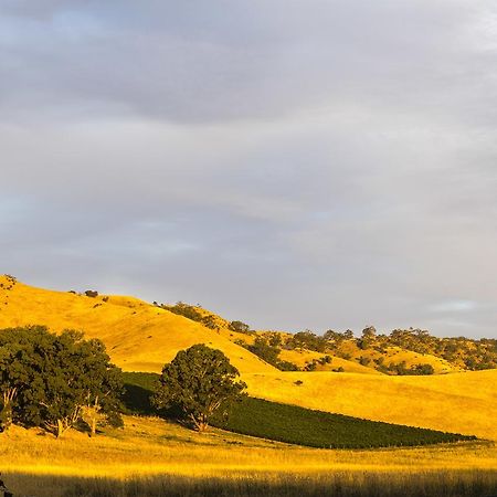 Dairyman'S Cottage Lyndoch Экстерьер фото